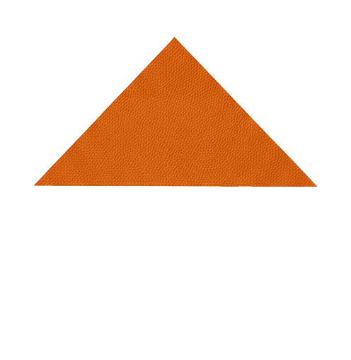 Logo Ester Group